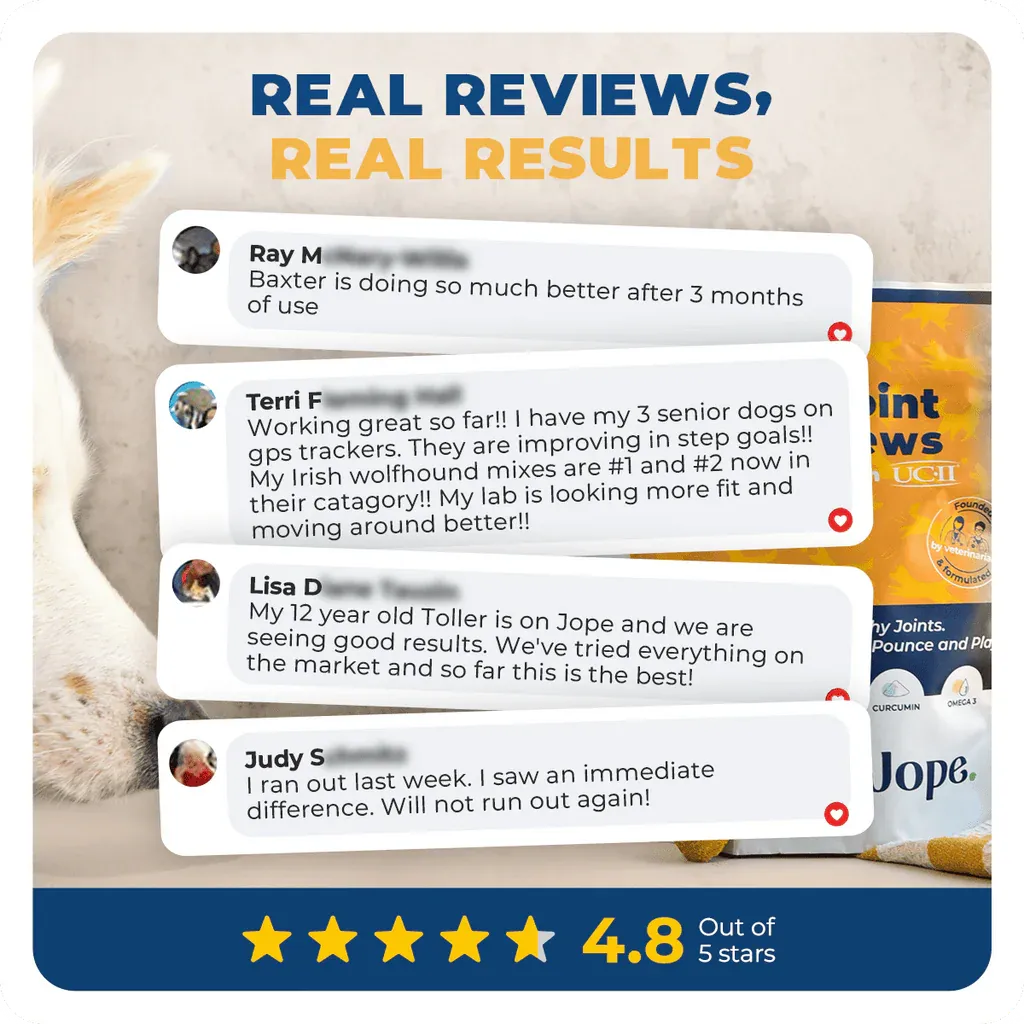 Jope Hip & Joint Dog Chews - 60 Count